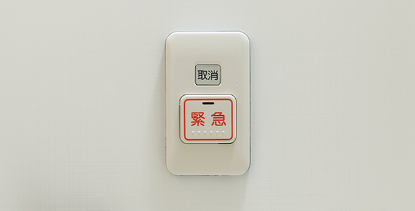 image photo