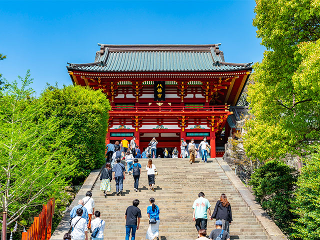 鎌倉鶴岡八幡宮