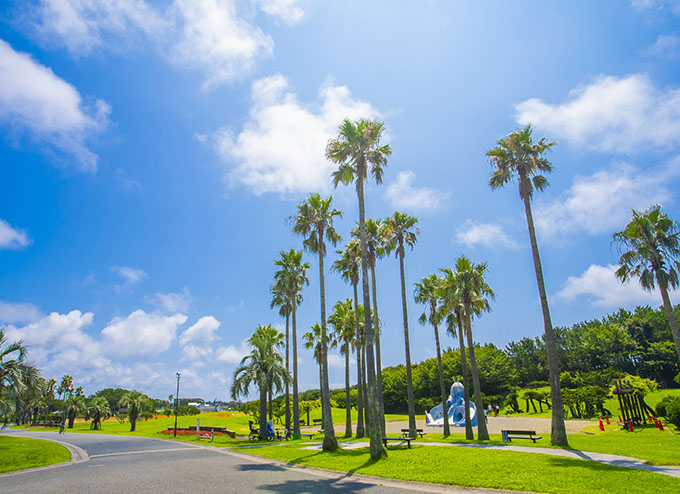 辻堂海浜公園