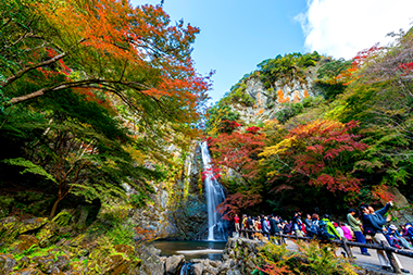 箕面公園