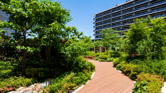 屋上庭園