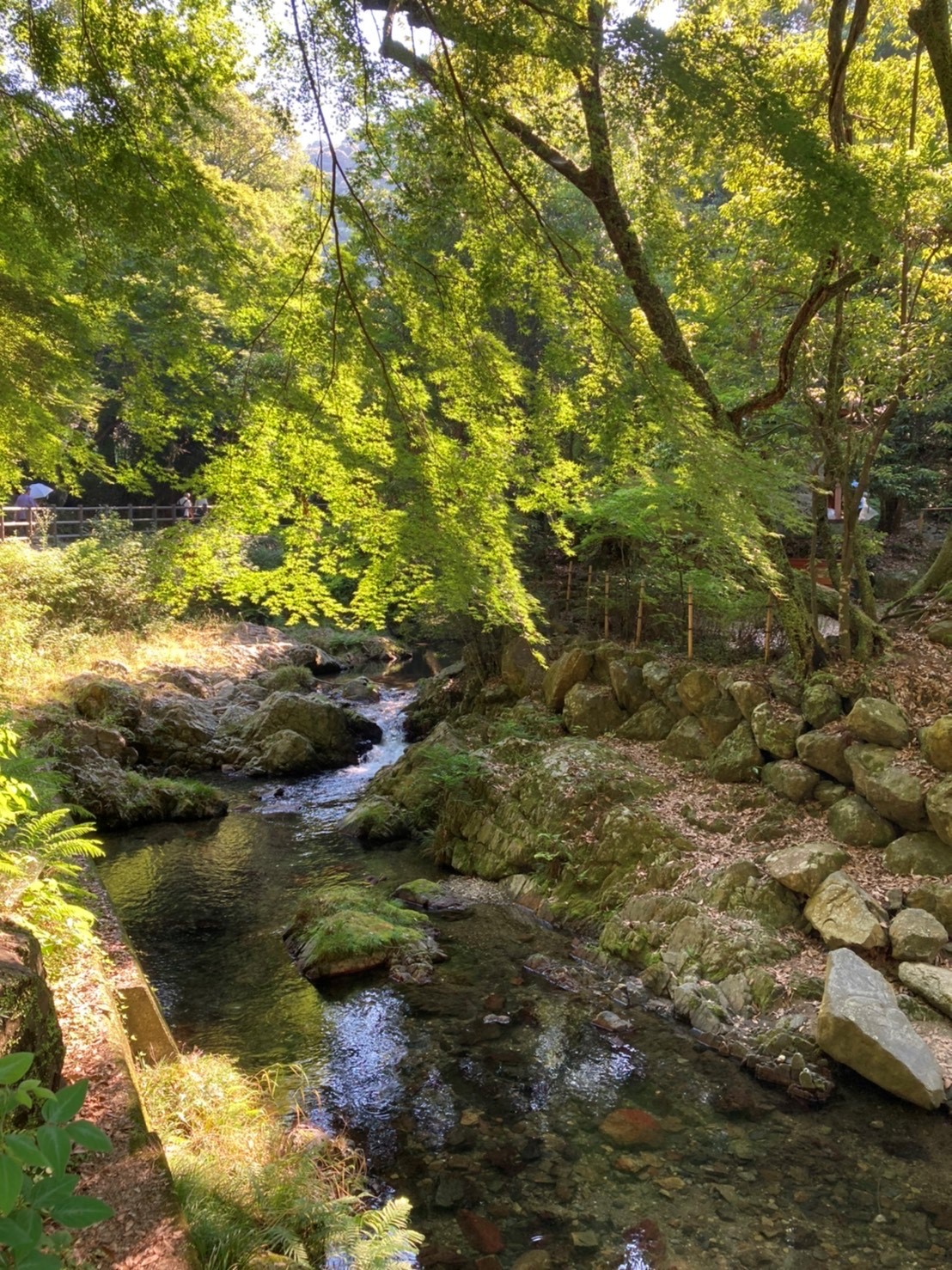 箕面公園