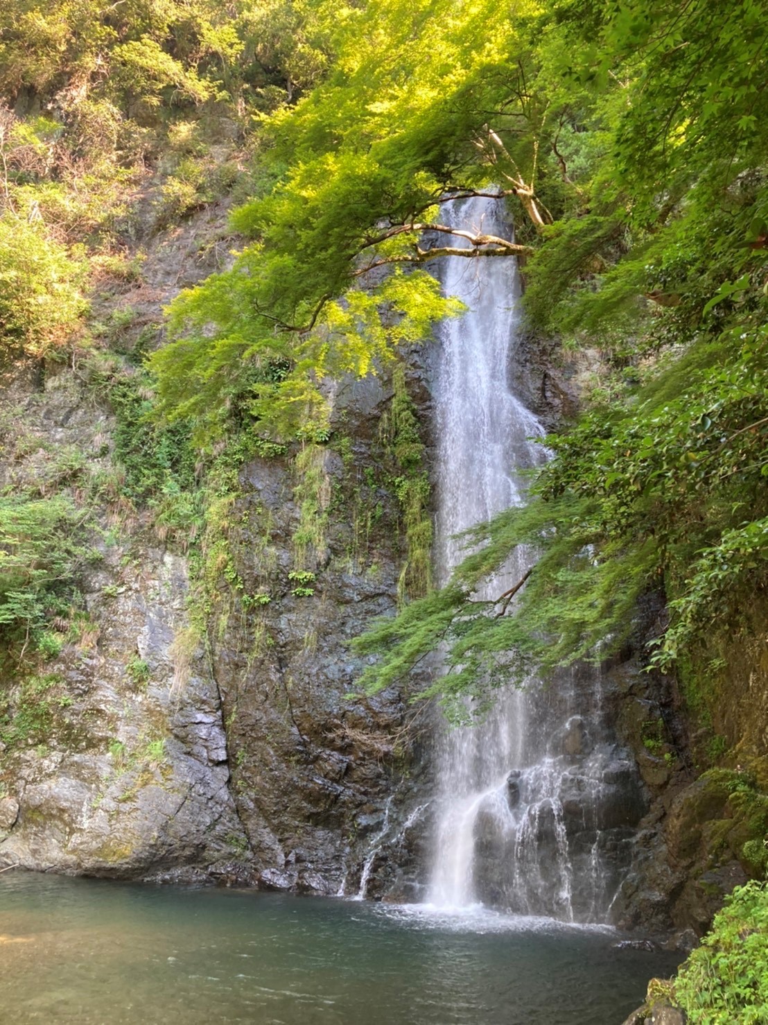 箕面の滝