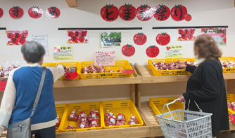 「冥應寺さくら鑑賞とお買い物満喫ツアー」
